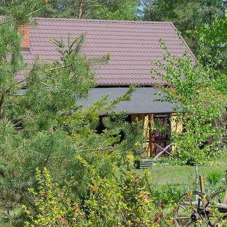 Gospodarstwo Agroturystyczne Nad Jeziorem Wsrod Lasow Lipnica  Esterno foto